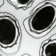 Image for article titled Parents Declare Biological War On Own Children With Mail-Order Chicken Pox